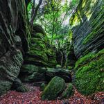 Panama Rocks