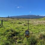 Pu'uwa'awa'a Forest Reserve Hike