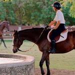 Equestrian Center at Sea Horse Ranch