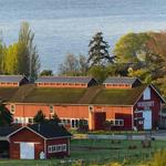 Greenbank Farm