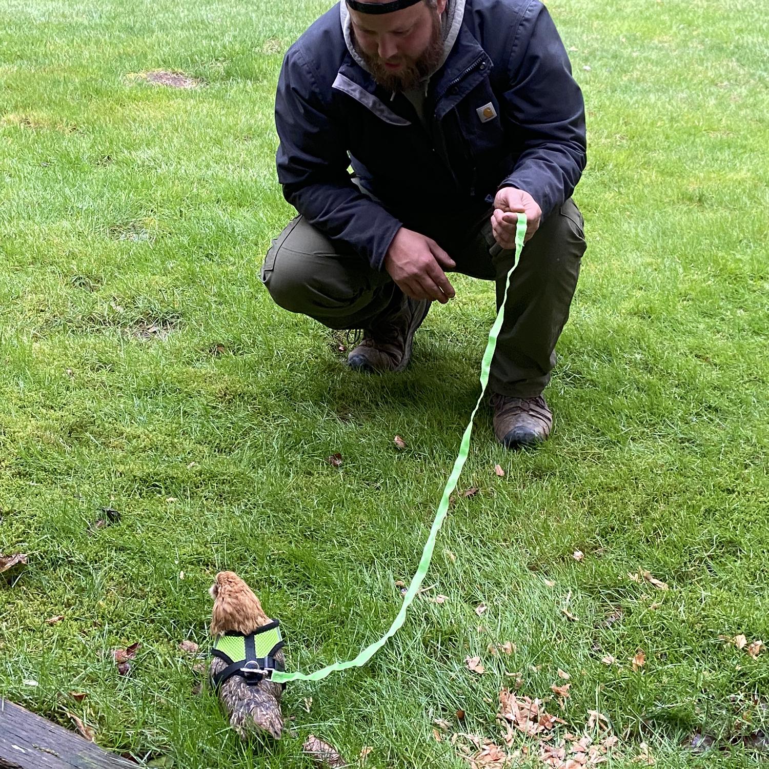 I thought we should try it…. Turns out they don’t really need leashes!