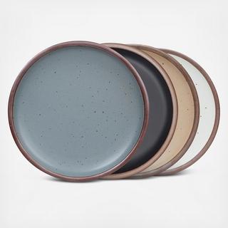 Assorted Dinner Plate, Set of 4