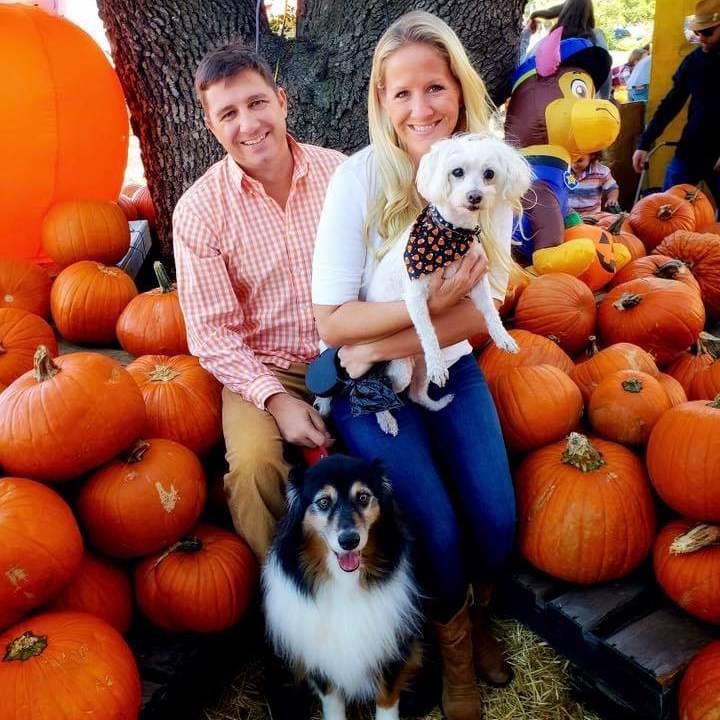 The Pumpkin Patch. October 2018.