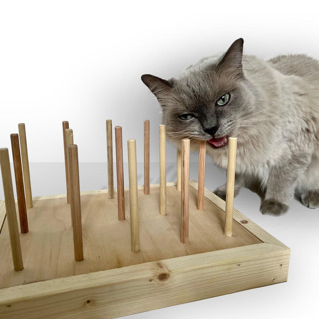 BiteyBox: Cat Chewing Toy, Natural Wood Sticks