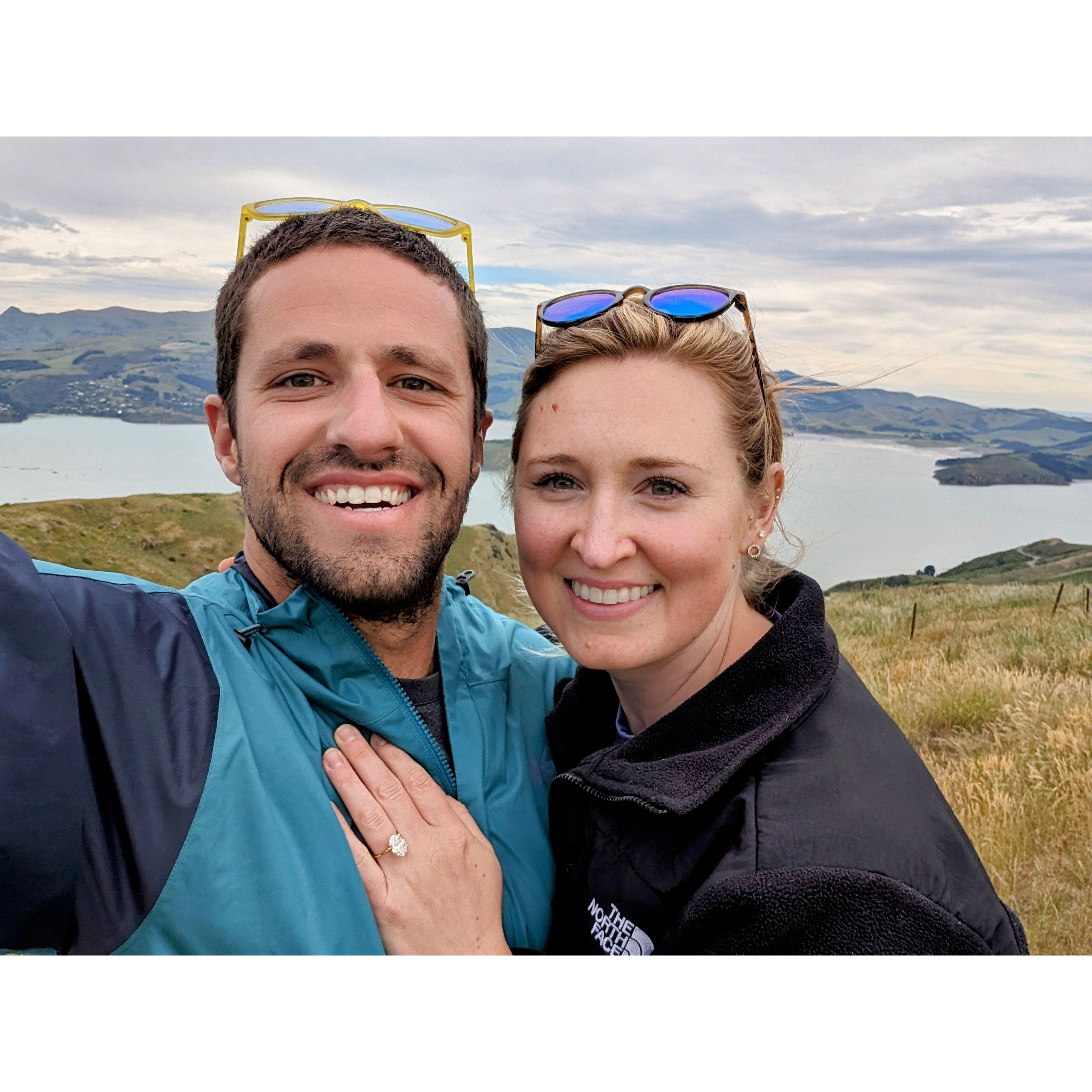 The proposal in New Zealand