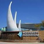 Mississippi Aquarium