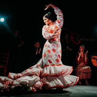 Flamenco & Tapas Tour for 2 - Madrid