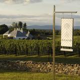 Boxwood Estate Winery