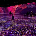 OASIS Immersion