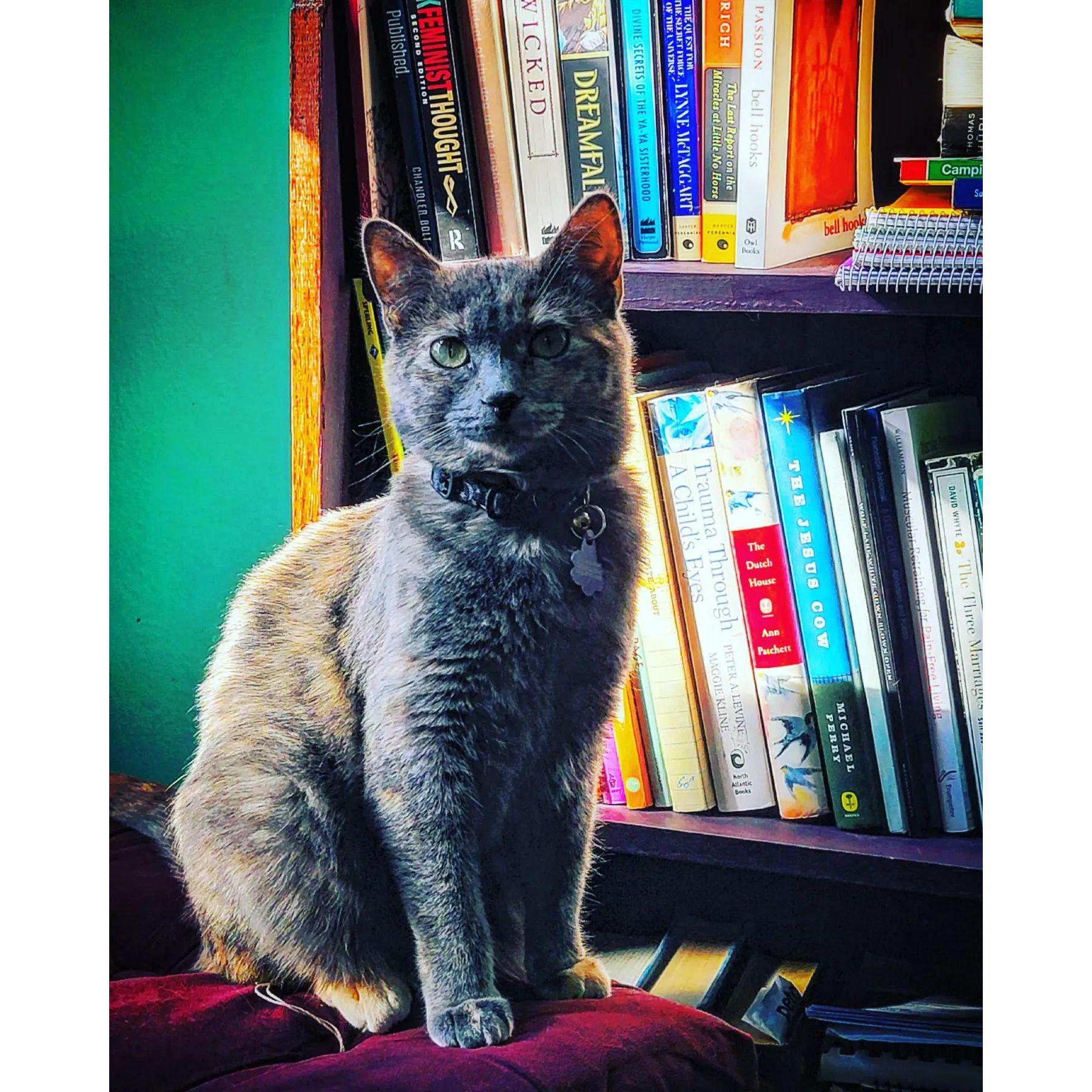 Lulu