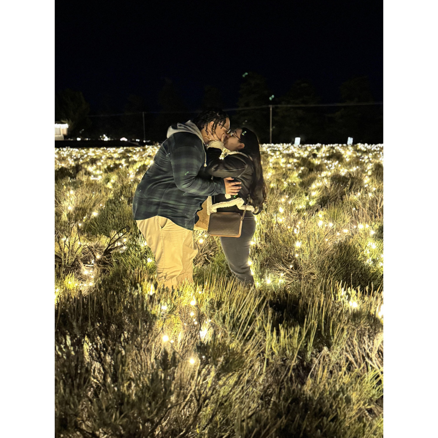 Magical kiss surrounding by lavender gardens