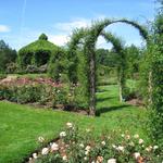 Elizabeth Park Rose Garden
