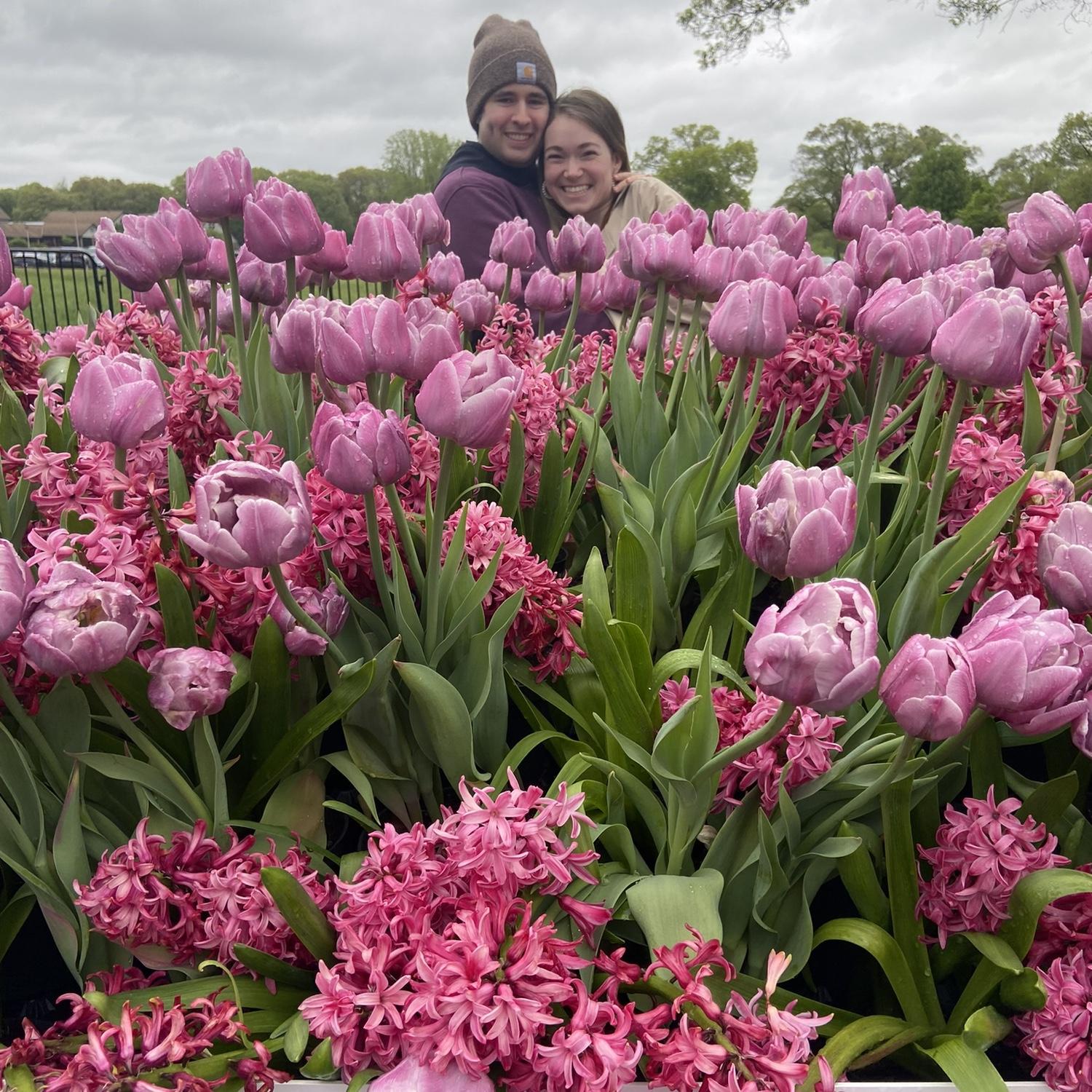 May 2024, Tulip Time Festival in Holland Michigan!