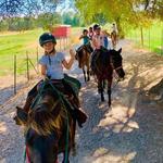 Trail Brothers at Gibson Ranch
