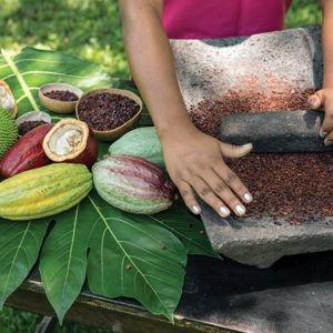 Eco-Experiences & Local Treasures