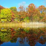 Ojibway Nature Centre