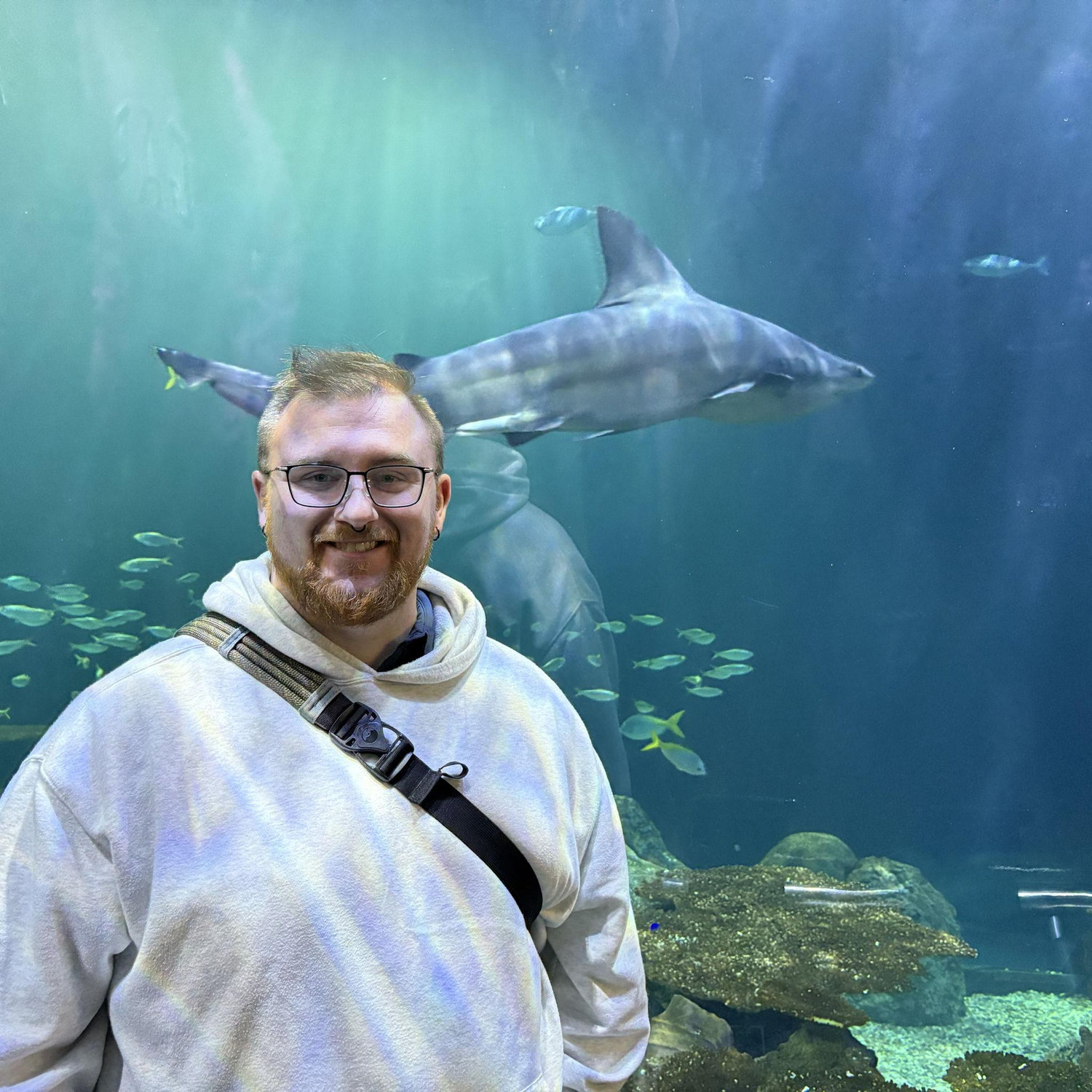 Tristan with the sharks at the Shedd Aquarium in Chicago!
