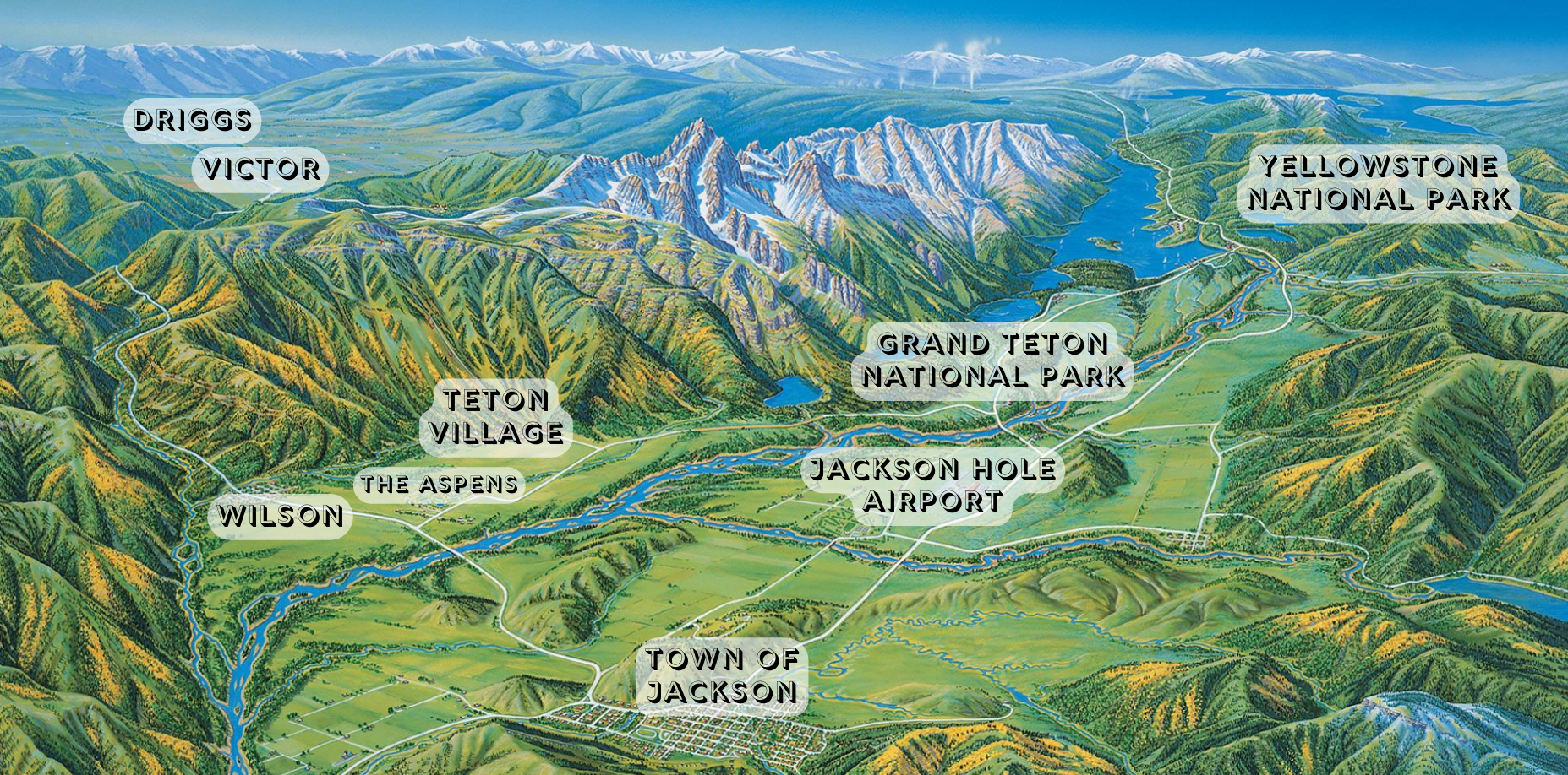 The Wedding Website of Alex Lewis and Tristan Jackson