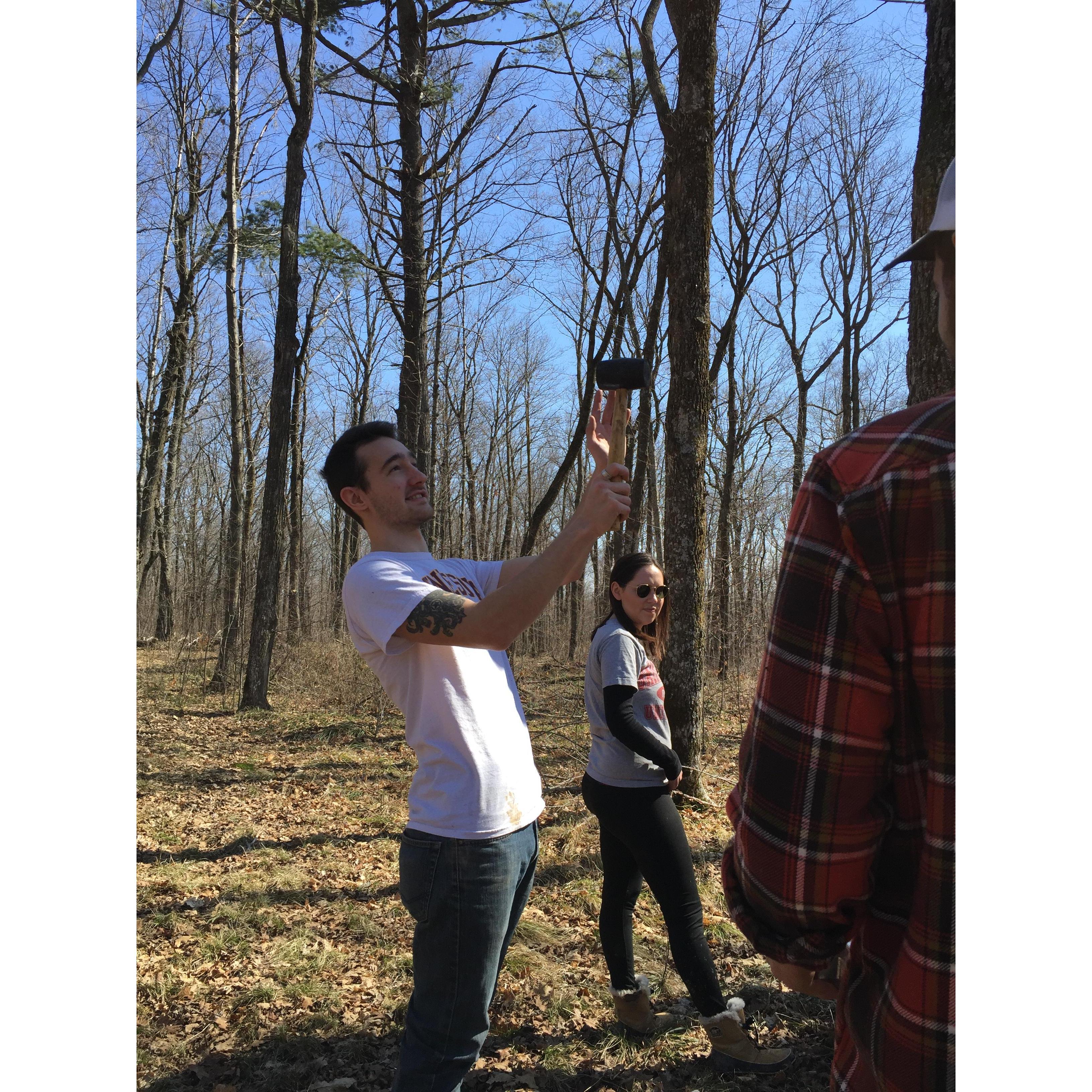 Justin trying to pick out the perfect tree to tap.