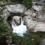 Warren Falls