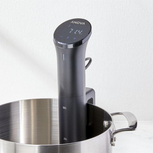 Anova Precision Sous Vide Cooker Nano