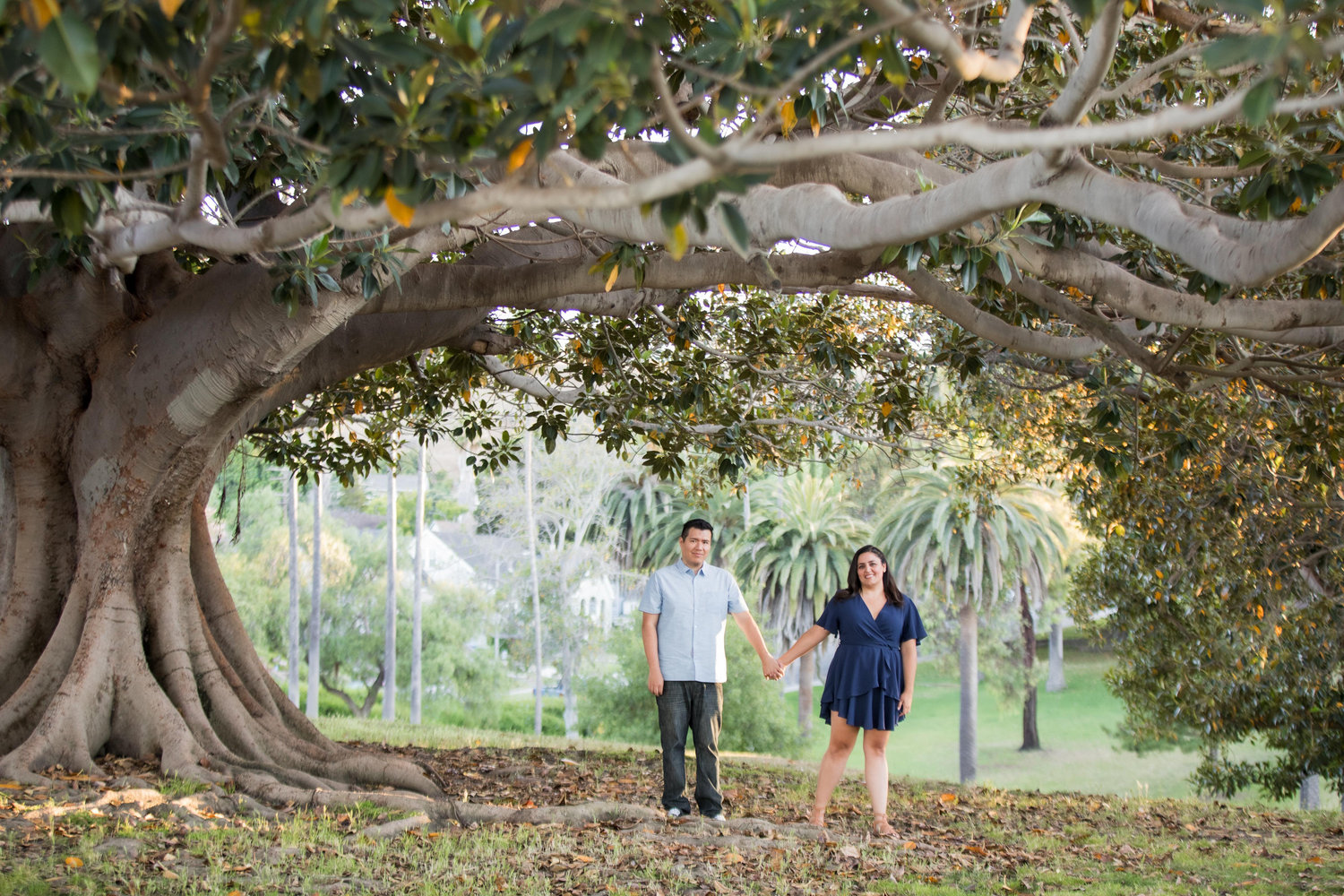 The Wedding Website of Megan Rhodes and Luis Arteaga
