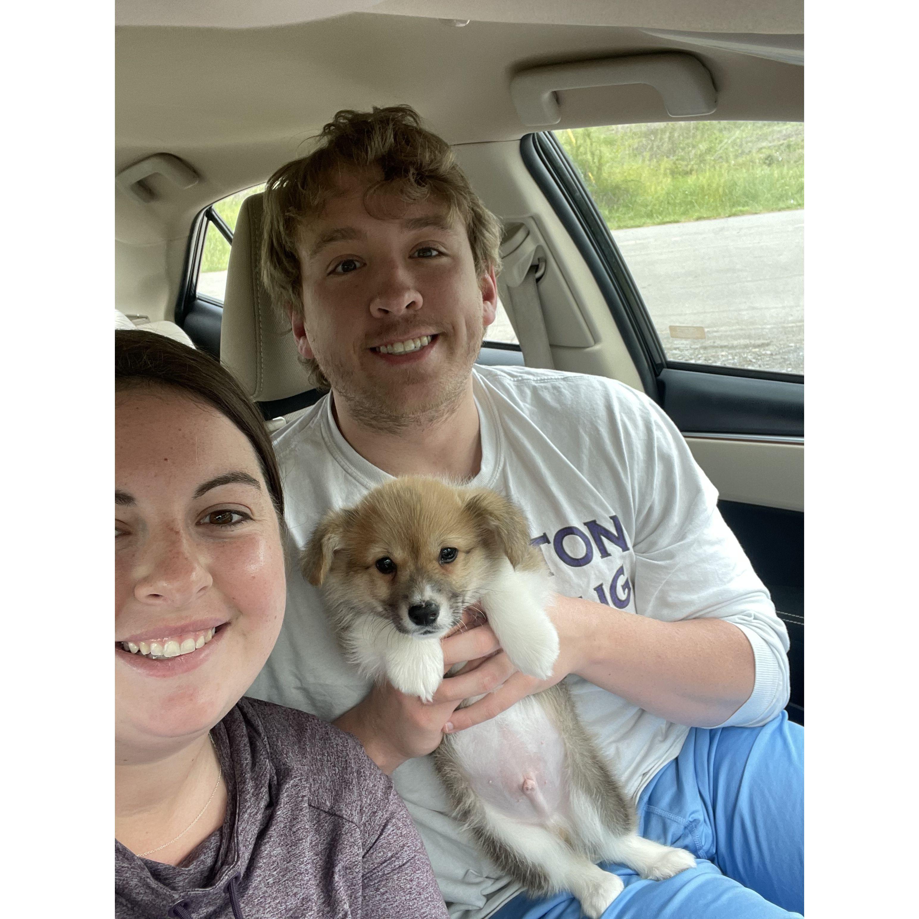 Picking up Harvey