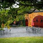 Anyela's Vineyards