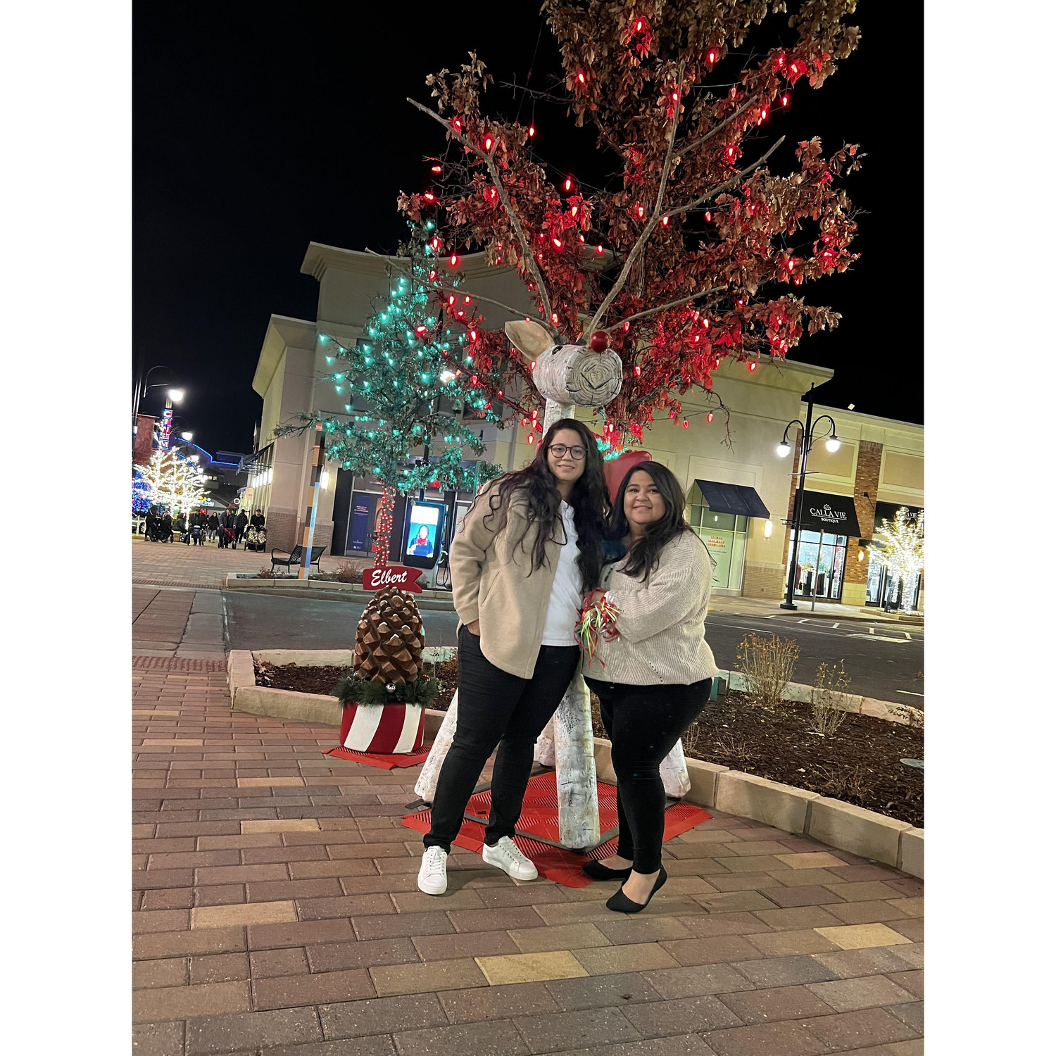 This is our first Christmas together we both love Christmas so we did a lot of Christmas stuff together! We kicked off the holiday season with a Christmas Paradeπ