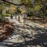 Sea Pines Bike Rentals