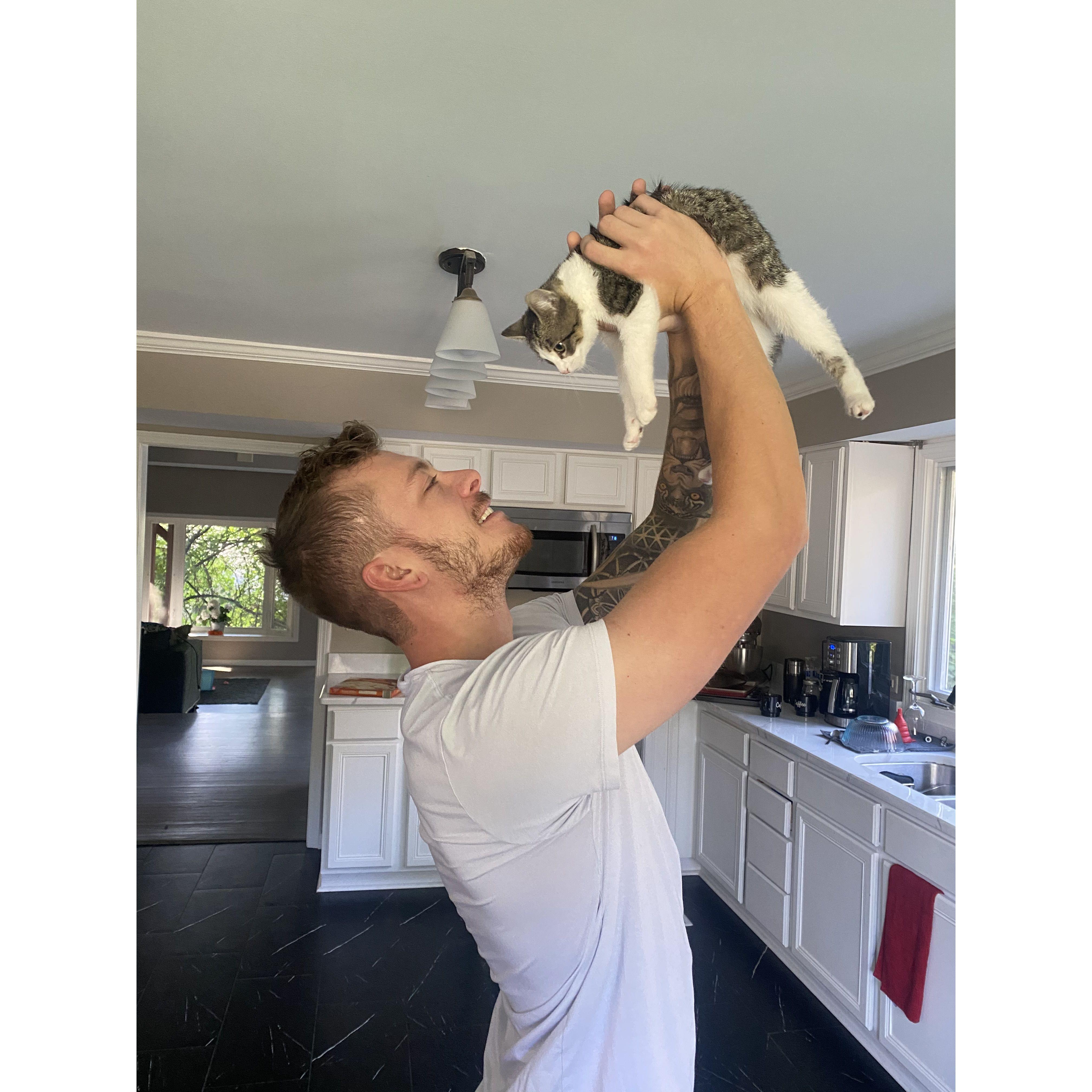 Ms Mittens