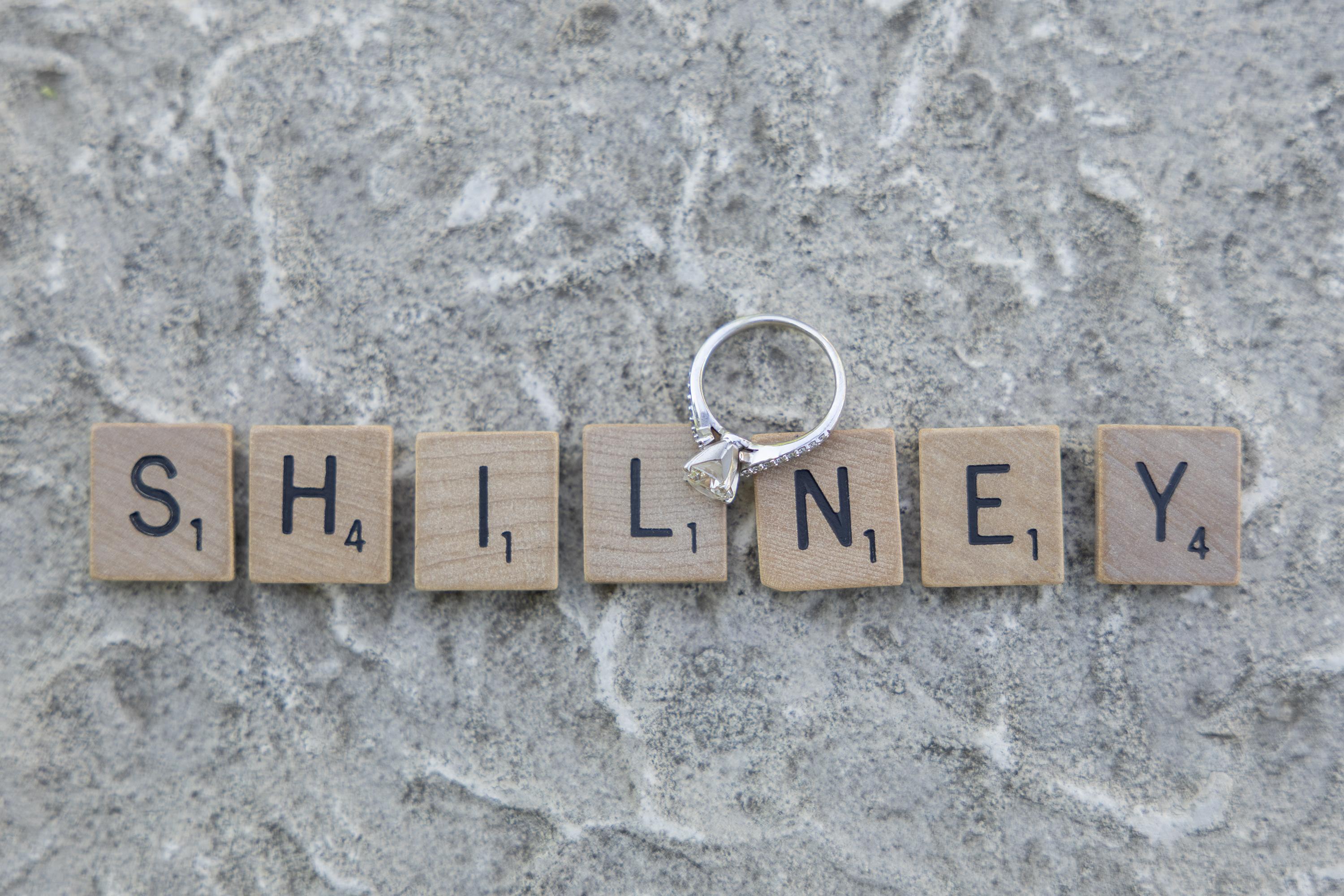 The Wedding Website of Brittany Boulanger and Doug Shilney