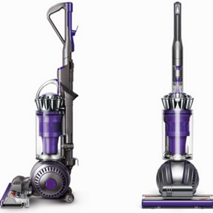 Dyson Ball Animal 2 vacuum cleaner.