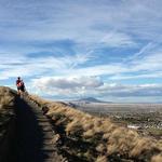 Badger Mountain Centennial Preserve