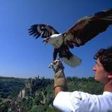 Rocher des Aigles