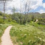 Bonneville Shoreline Trail