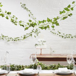 Beautiful Botanics Decorative Vines, Set of 5