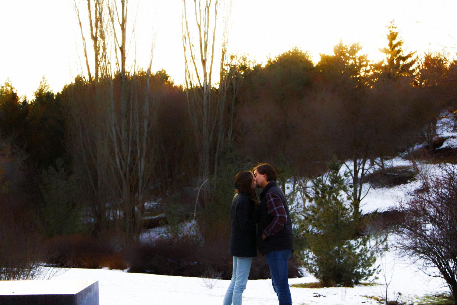 Our Proposal. January of 2019