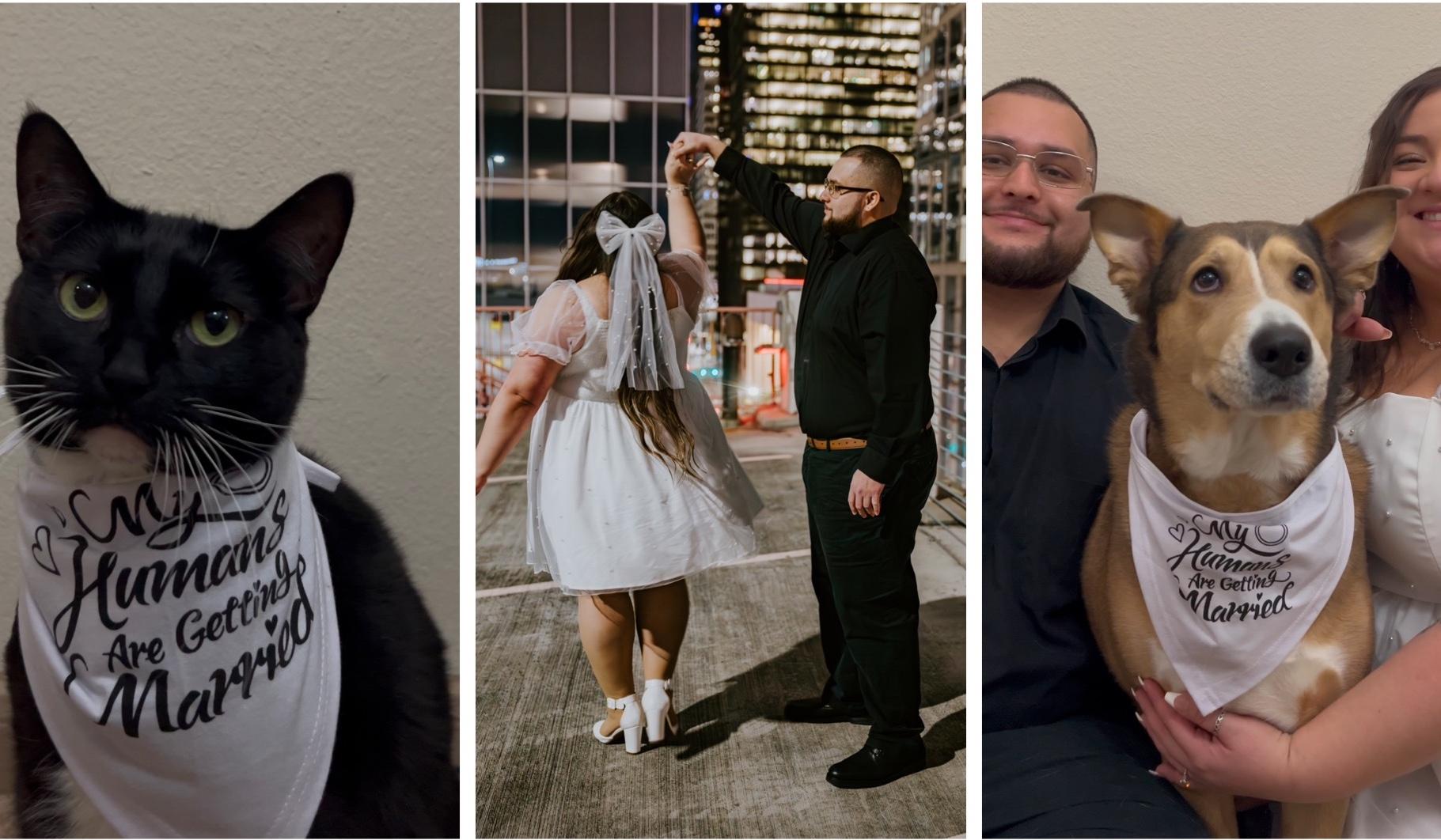 218598cc-8a62-4647-9d26-1c70663611a3