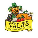 Vala's Pumpkin Patch & Apple Orchard