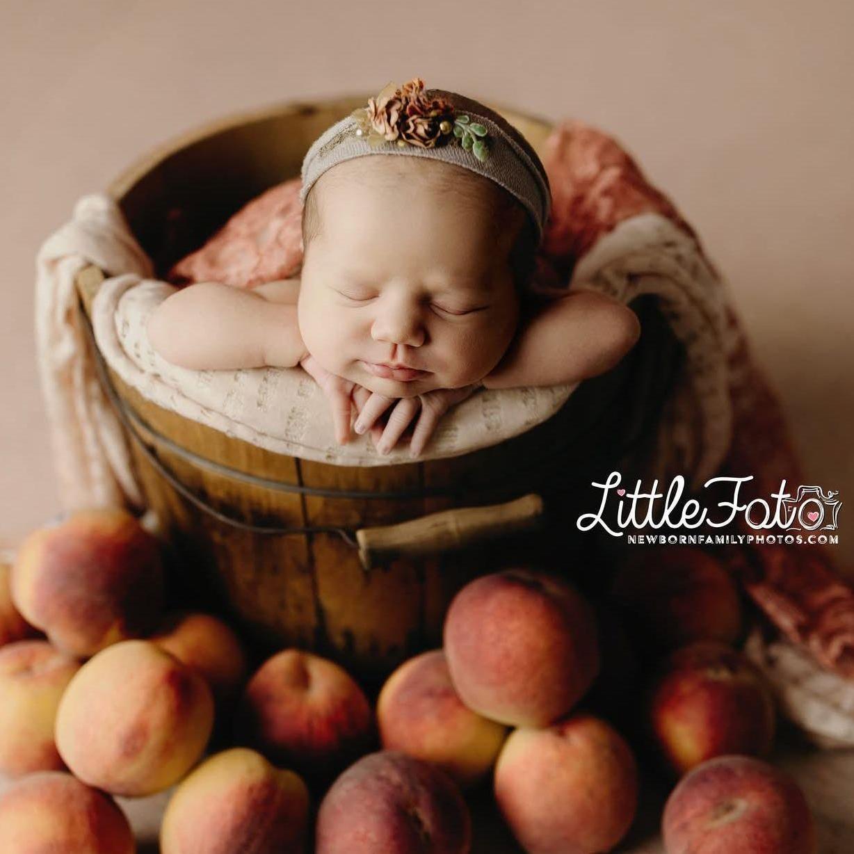 Newborn Photos August 15th 2024