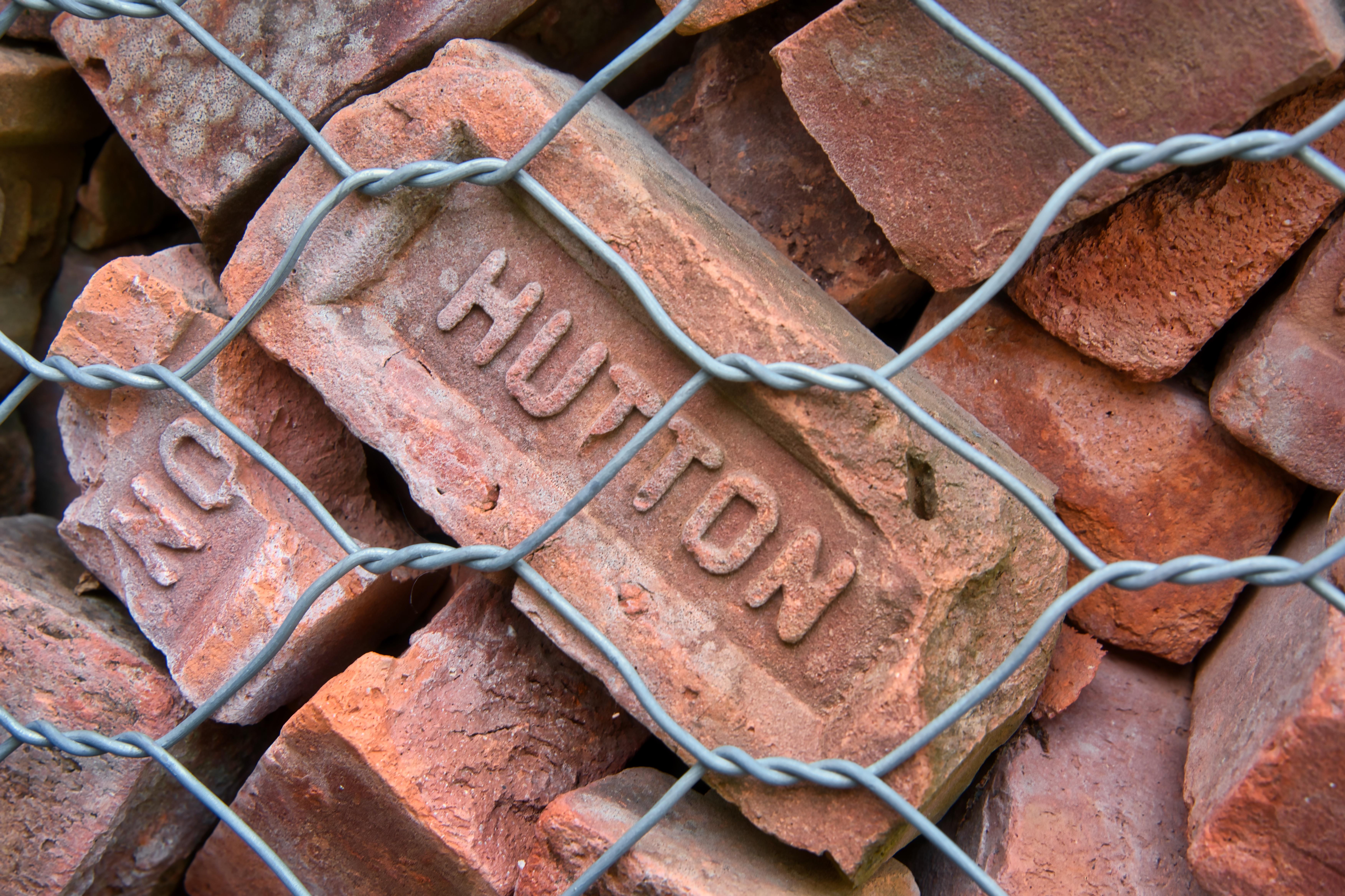 The Wedding Website of Charles Breitbart and Dylan Waldman