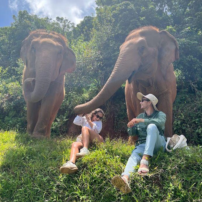 There is one rule to remember when sitting beneath a group of elephants: no food, no friend.