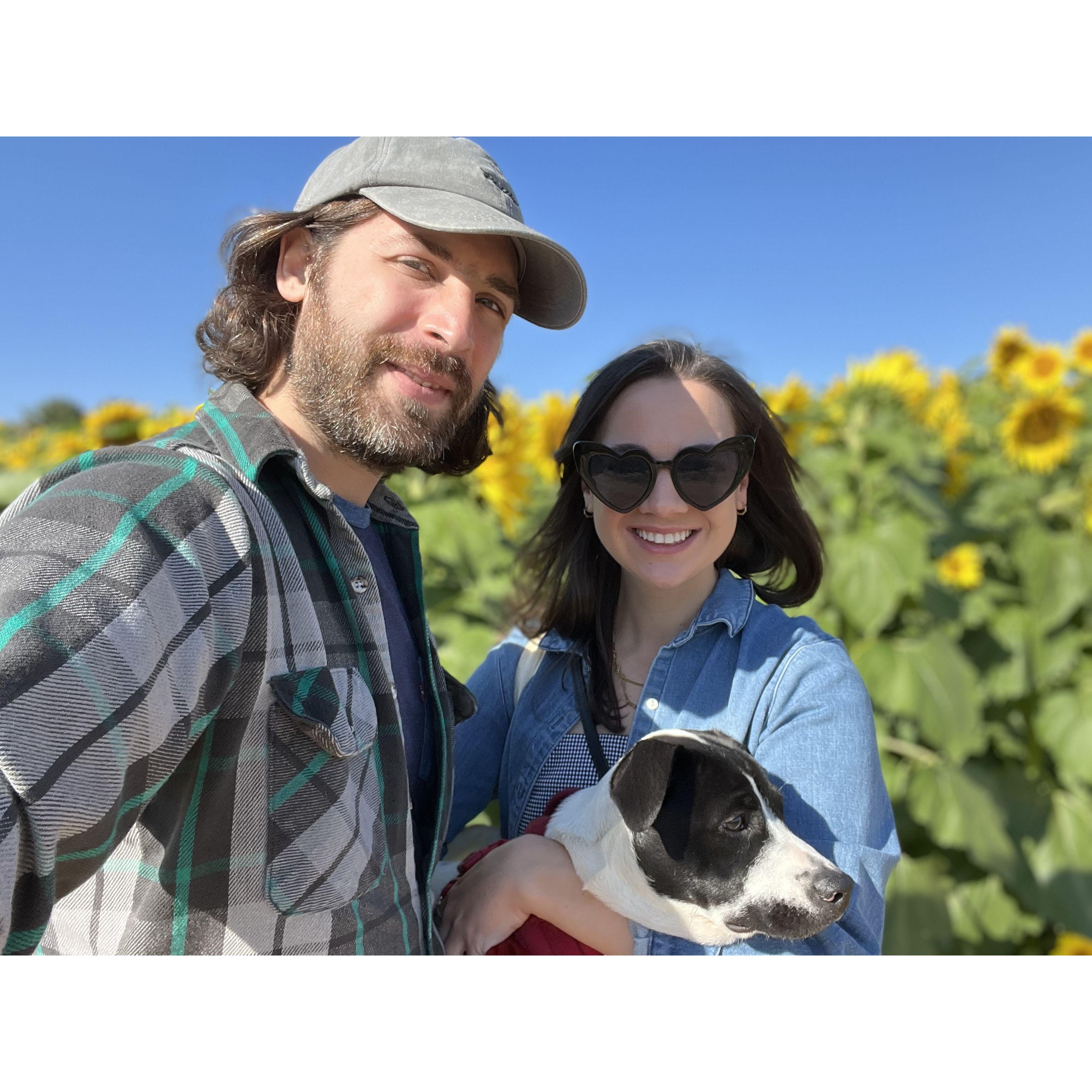 Pepper’s first corn maze, October 2022