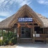 Florida Keys Aquarium Encounters