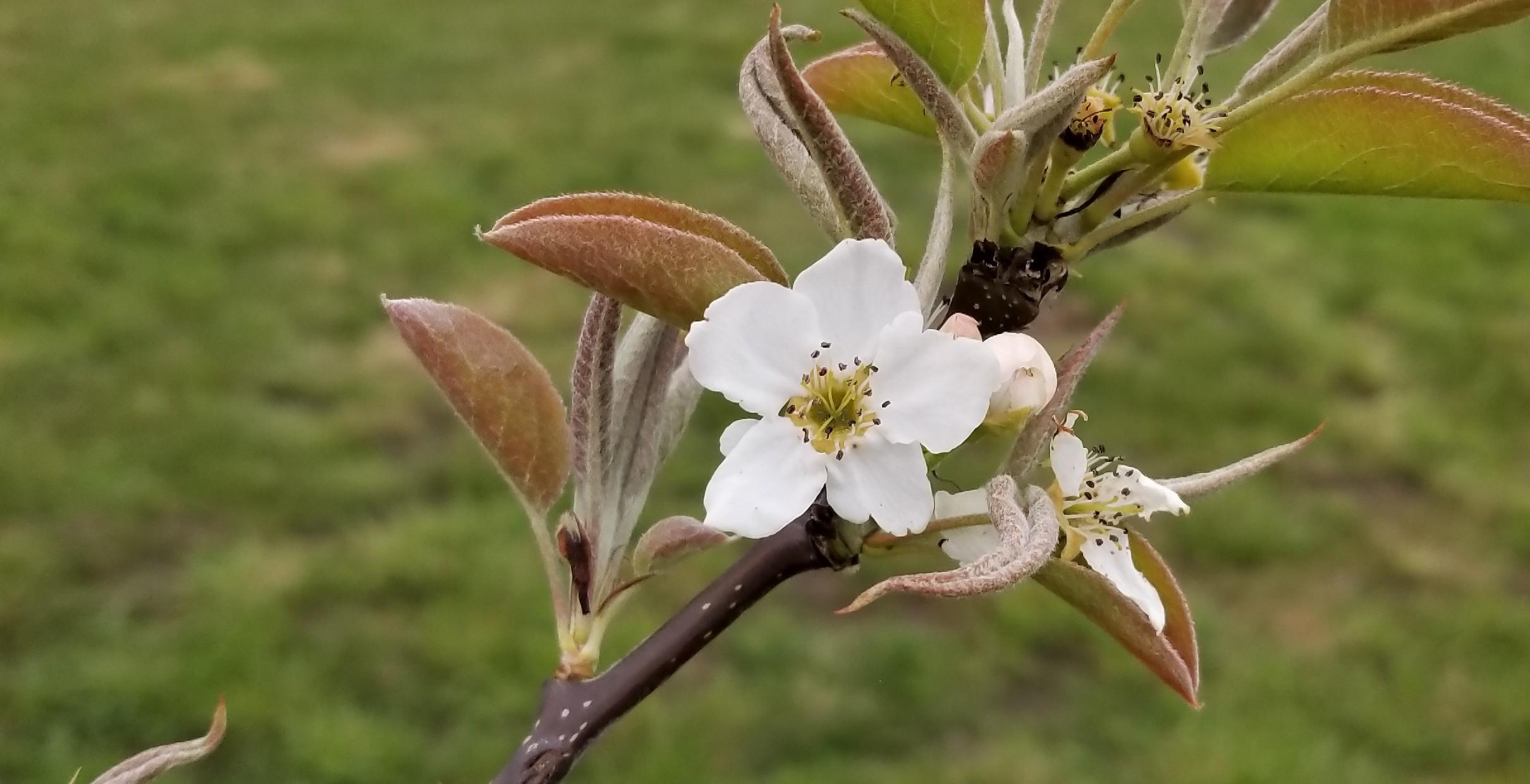 The Wedding Website of Mackenzie Wainwright and Matt Gower