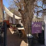 Aster Marfa