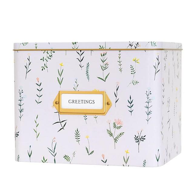 VINCA BLUE Greeting Card Organizer Storage Box with Dividers, Cards, and Envelopes (Wildflower)
