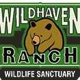 Wildhaven Ranch Wildlife Sanctuary