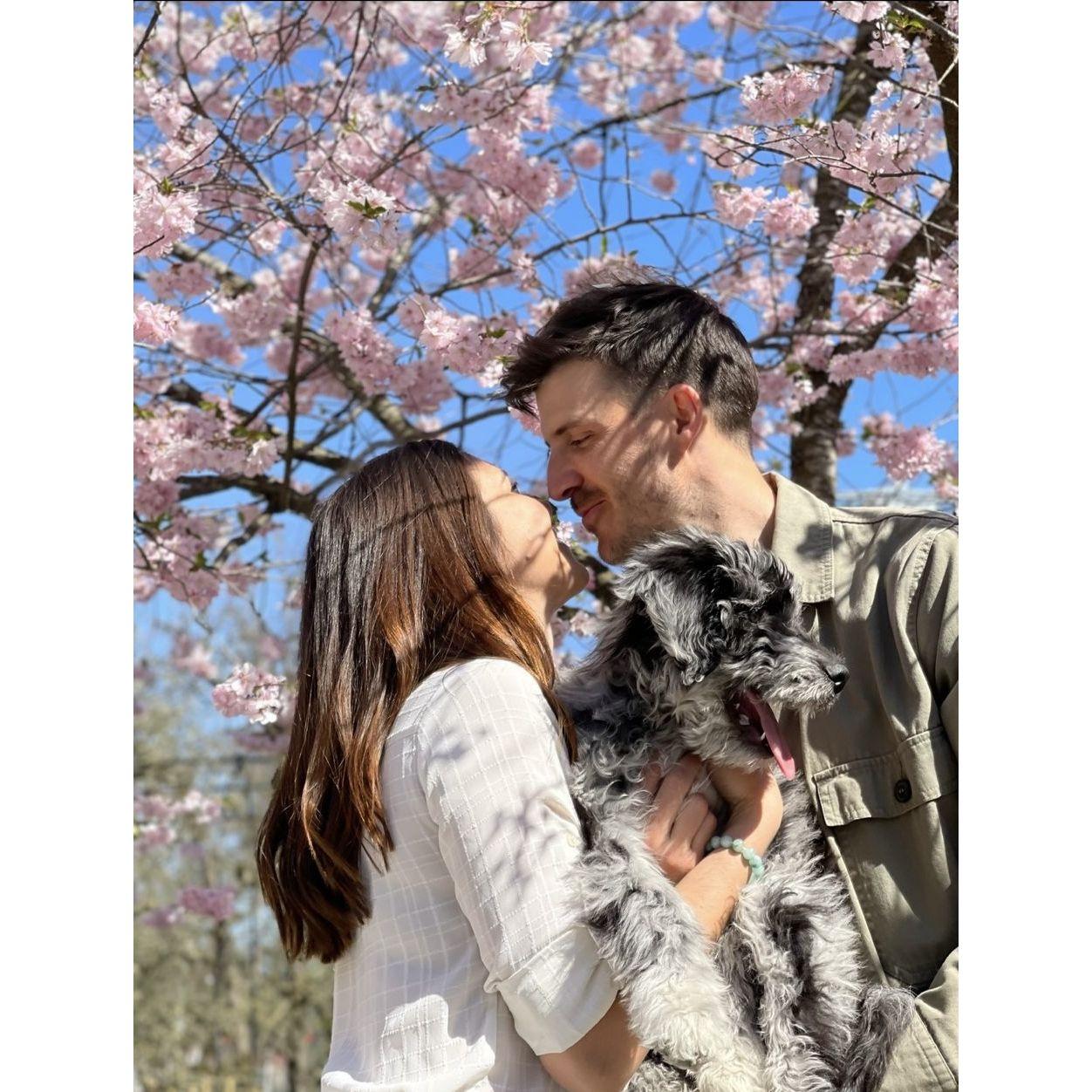 Our fur baby Otis 2023